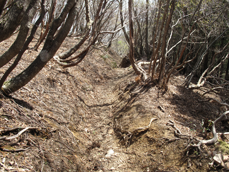 20140502hike (241)